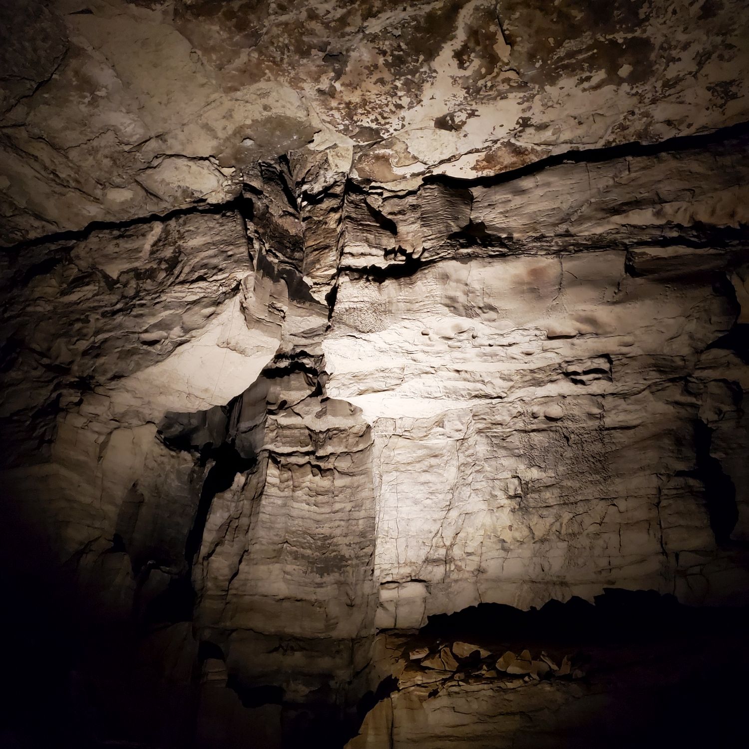 Mammouth Cave Historic Tour 